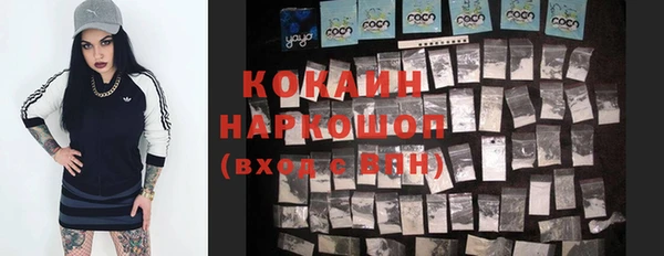 гашик Богородск