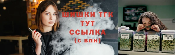гашик Богородск