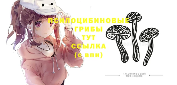 кокаин премиум Богородицк