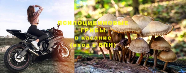 гашик Богородск
