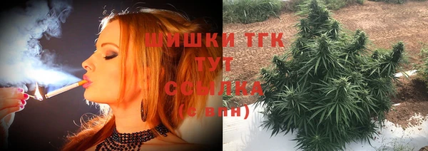 гашик Богородск