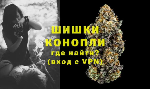 гашик Богородск