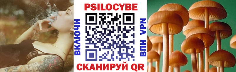 Галлюциногенные грибы Psilocybine cubensis Волхов