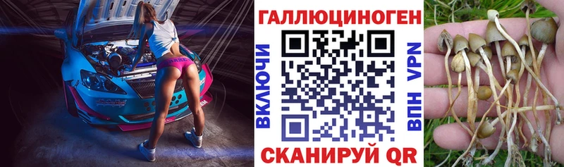 Псилоцибиновые грибы Psilocybine cubensis  kraken tor  Волхов  закладка 